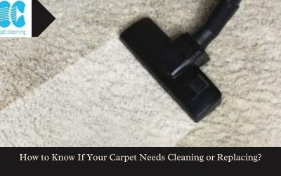 How to Know If Your Carpet Needs Cleaning or Replacing?