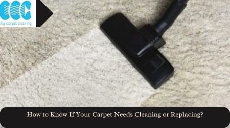 How to Know If Your Carpet Needs Cleaning or Replacing?