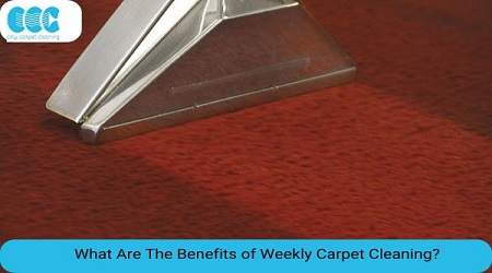 What Are The Benefits of Weekly Carpet Cleaning?