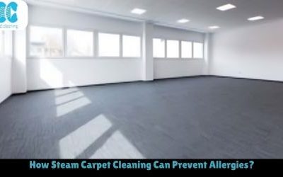 How Steam Carpet Cleaning Can Prevent Allergies?