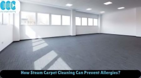 How Steam Carpet Cleaning Can Prevent Allergies?