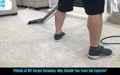 Pitfalls of DIY Carpet Cleaning: Why Should You Trust the Experts?